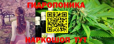 гашик Обнинск