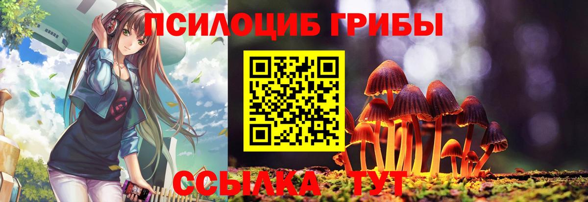 Галлюциногенные грибы Cubensis Торжок