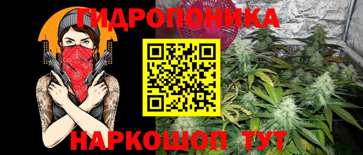 Марихуана Amnesia Торжок